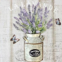 Serenity Lavender Farm Inc inside