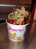 Yogurty's food