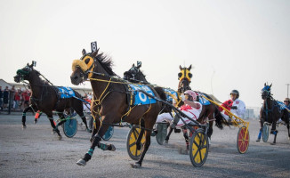 Century Downs Racetrack And Casino outside