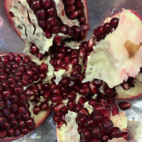 Bartavelle Nourriture