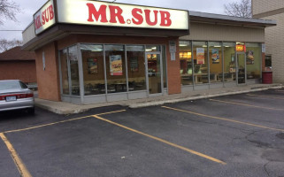 Mr.sub food