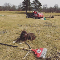 Cardinal Grill Extérieur