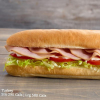 Mr.sub food