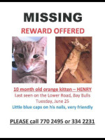 Paddy's Conv. Sub Shop Carta