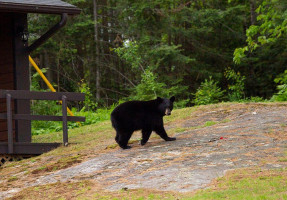 Temagami Shores Inn outside