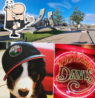 Pizzeria Davis logo