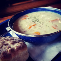 Wildcat Café Comida