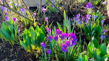 Chatime Nanaimo Exterior