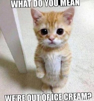 Cahilty Creek Bebida