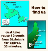 The Captain's Table Carta