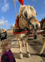 Bountiful Farmers' Market Extérieur