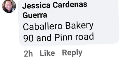 Nova Pastry Bakery Logo