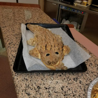 Nova Pastry Bakery Food