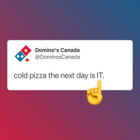 Domino's Pizza logo