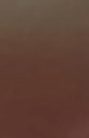 Minami Sushi Japanese Boisson