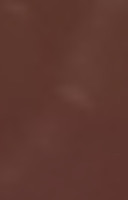 Minami Sushi Japanese Boisson