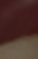 Minami Sushi Japanese Boisson