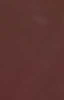 Minami Sushi Japanese Carte