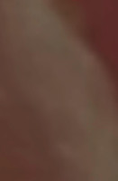 Minami Sushi Japanese Boisson