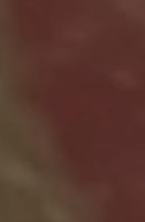 Minami Sushi Japanese Boisson