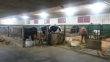 Birchwood Dairy Farm outside