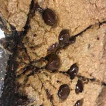 Pizza Hut Sherbrooke food