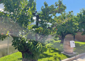 Pillitteri Estates Winery outside