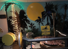 Coconut Joe's Harbour And Grill drink