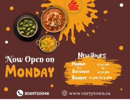 Curry Town Fine Authentic Indian Cuisine Carta