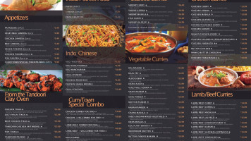 Curry Town Fine Authentic Indian Cuisine Carta