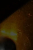 Maple Leaf Queen's Buffet drink