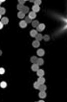 East of Brunswick Pub & Kitchen Boisson