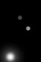 East of Brunswick Pub & Kitchen Boisson