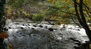 Georgie's Extérieur