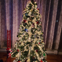 Fionn Maccool's Bebida