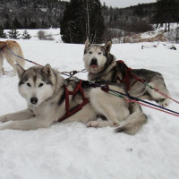 Auberge Le Cheval Bleu Exterior
