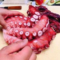 Sushi Sora Nourriture