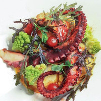 Bento Sushi Nourriture