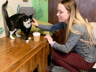 Main Street Café Lounge