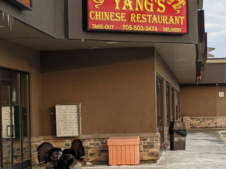 Yang's Chinese