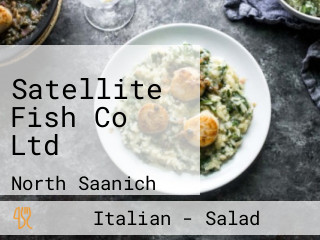Satellite Fish Co Ltd