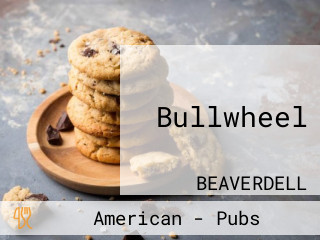 Bullwheel