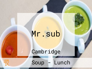 Mr.sub