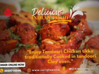 Curry Town Fine Authentic Indian Cuisine