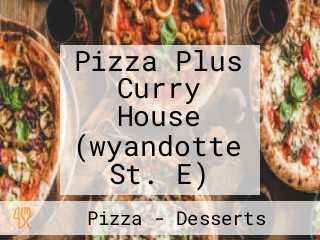 Pizza Plus Curry House (wyandotte St. E)