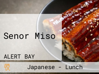 Senor Miso