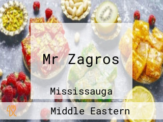 Mr Zagros
