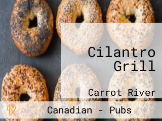 Cilantro Grill