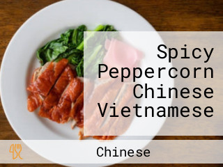 Spicy Peppercorn Chinese Vietnamese