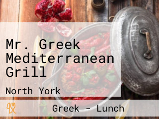 Mr. Greek Mediterranean Grill